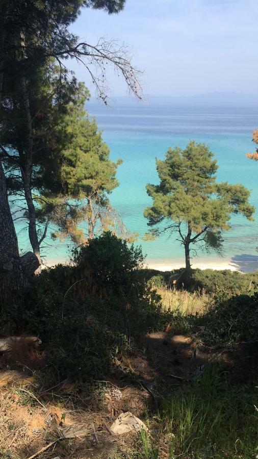 Villa Adria كريوبيجي المظهر الخارجي الصورة